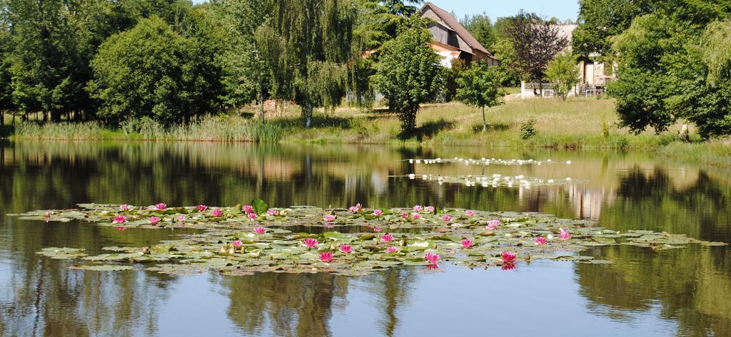 Liabaquet Gites Sarlande Bagian luar foto